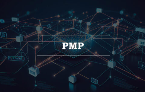 pmp