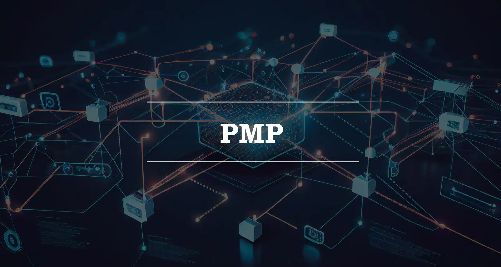 pmp